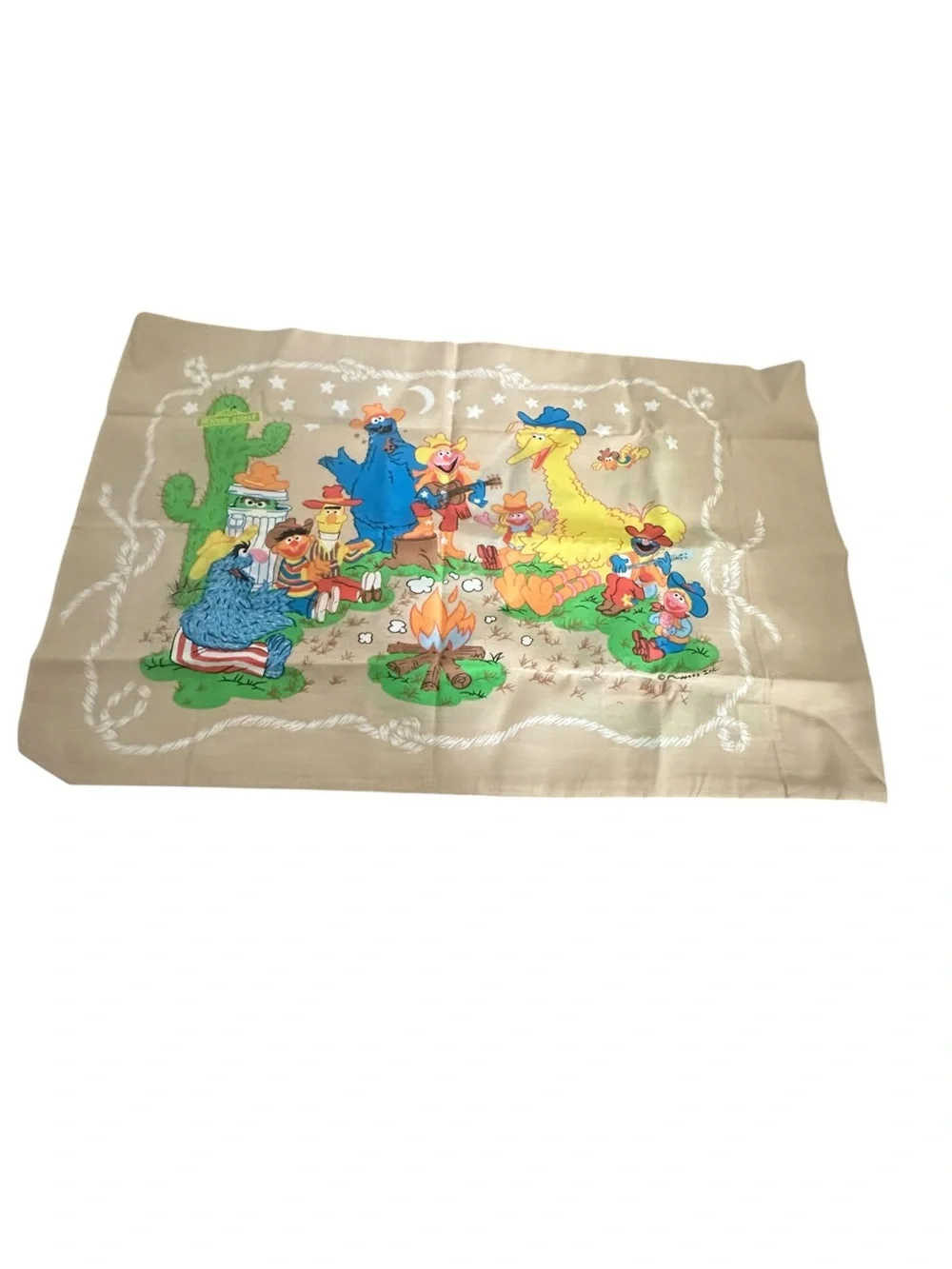 Vtg Sesame Street PILLOWCASE ONLY Big Bird Cookie Monster Ernie Camping Country